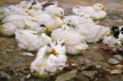 Enten auf einem Teich von Alexander Koester